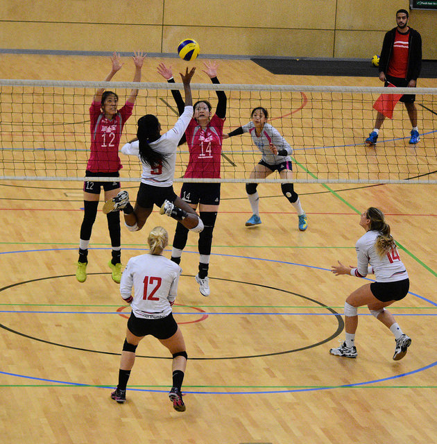 Volleyball Feast For Northumbria Fans