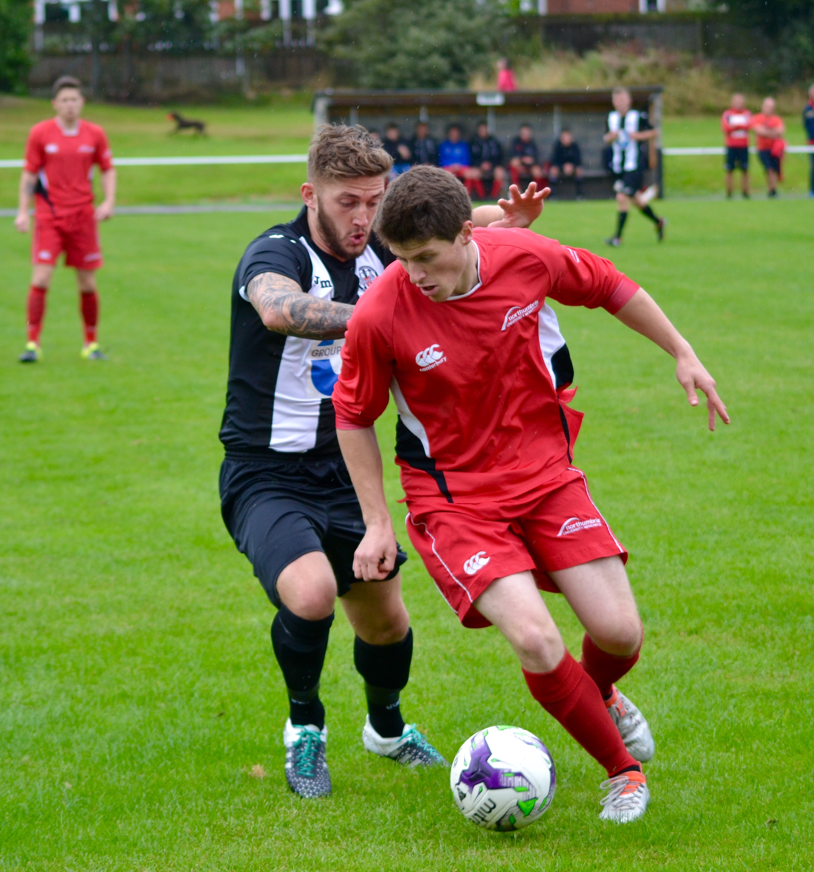 Northumbria Striker Dibb-Fuller Sees Double