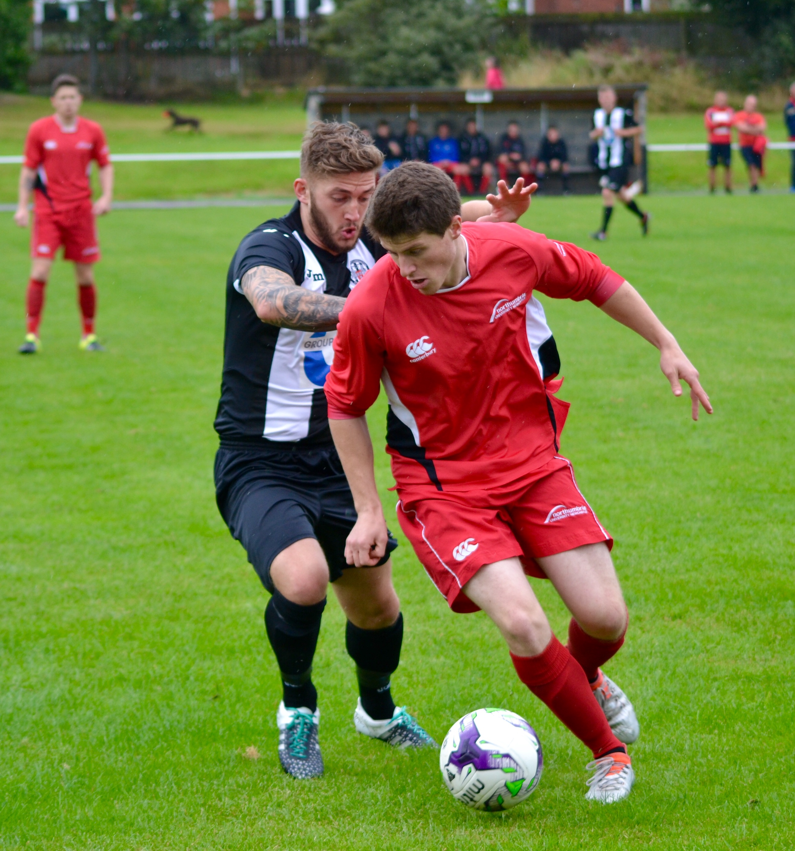 Dibb-Fuller Double Boosts Northumbria Title Push