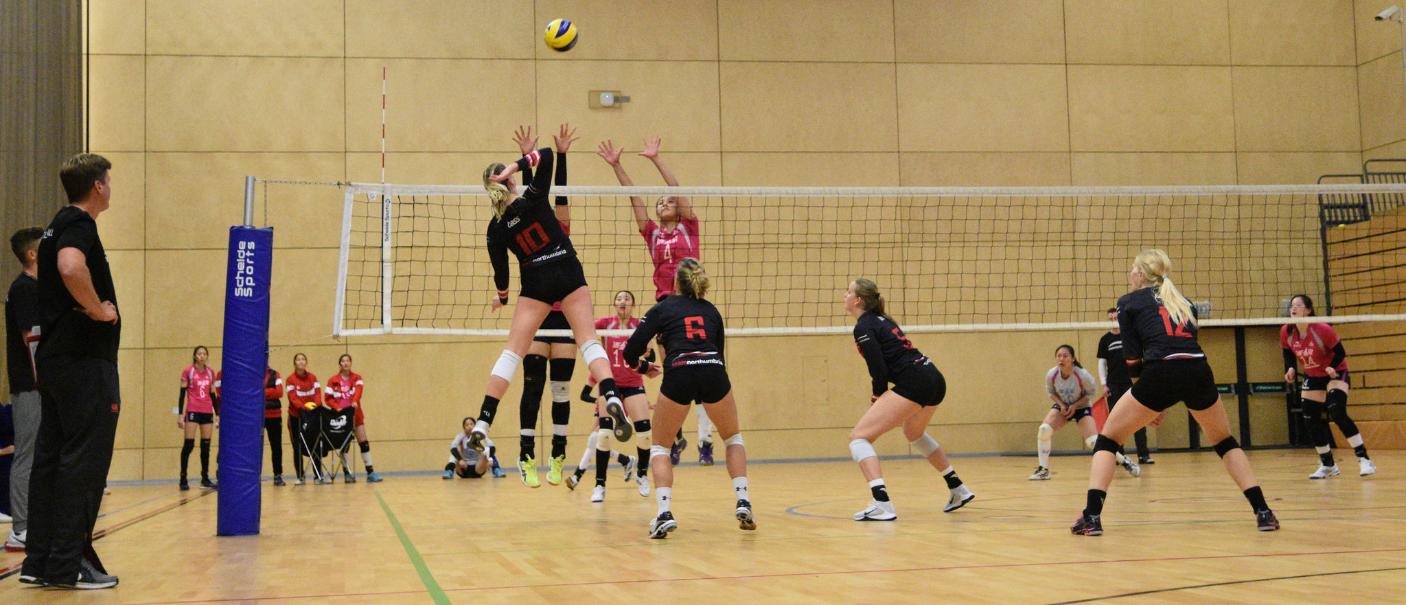 Volleyball Women.jpg